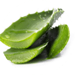 Aloe Vera Leaf Extract