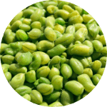 Hydrolyzed Soy Protein