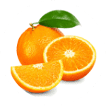 Orange Citrus Stem Cells