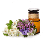 White Hawthorn Extracts